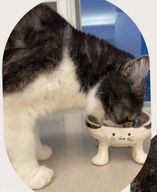 Create Bar Studio - 도자기 공방 | 콰이퐁【독점 30% 할인】